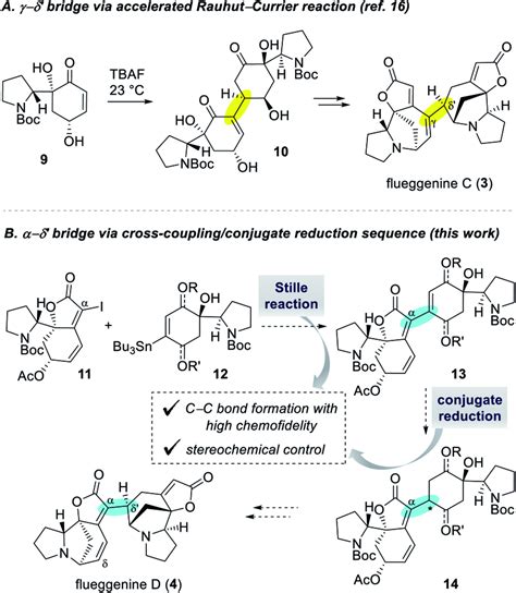 Dimerization Strategies For The Synthesis Of High Order Securinega Download Scientific Diagram