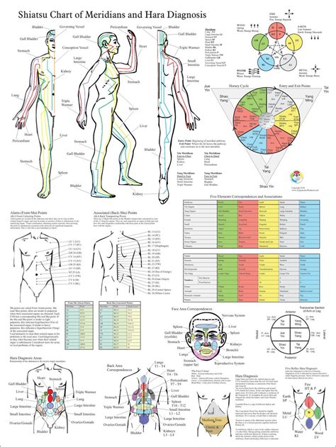 Shiatsu Chart Of Acupuncture Meridians And Hara Diagnosis Etsy