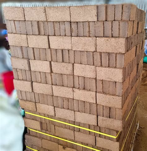 Coco Peat Briquettes Hardy Exports