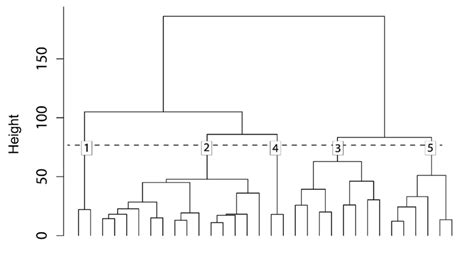 Dendrogram Of The Hierarchical Cluster Analysis Of Terra Firma Forest