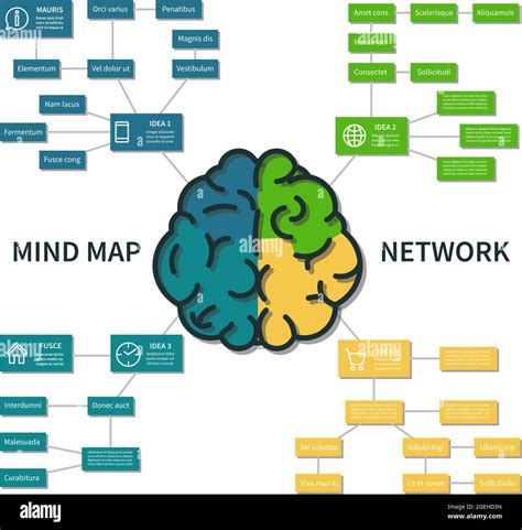 Mind Map Infographic Abstract Brain Thinking Process Scheme Business