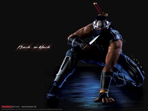 Ryu Hayabusa Wallpapers Wallpaper Cave