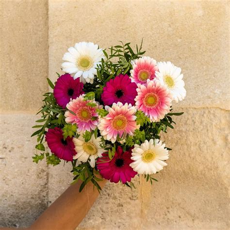 Bouquet Marguerite Fleurs Offrir Le Jardin Des Fleurs