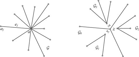 star graph   subgraphs   scientific diagram
