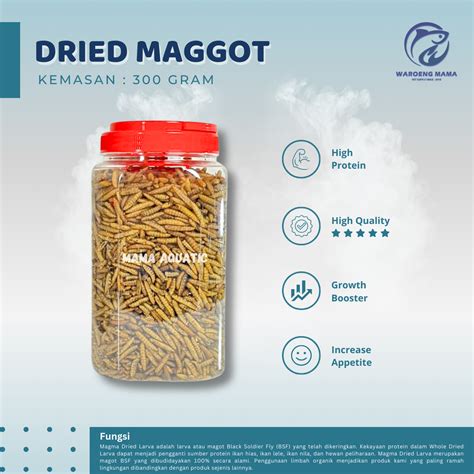 MAGGOT KERING BSF GRADE A 300 GRAM KEMASAN TOPLES PAKAN IKAN CHANNA