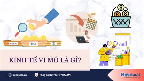 Kinh tế vi mô là gì Kinh tế vi mô nghiên cứu những gì