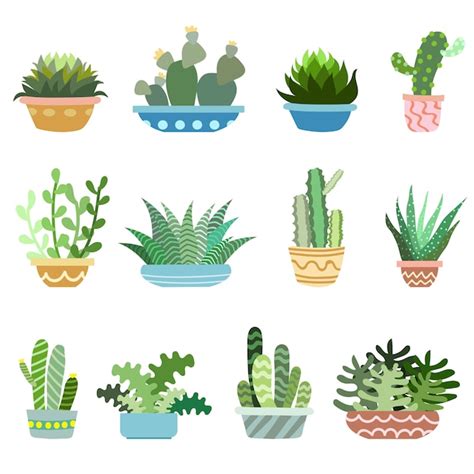 Conjunto De Vectores De Cactus En Macetas Vector Premium