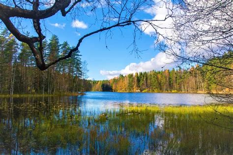 Top 8 Things to do in Espoo (Finland) - 2025