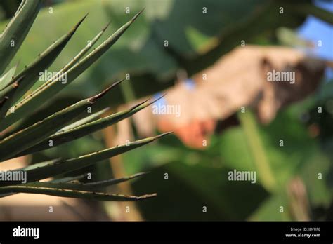 Refreshing Colors Stock Photo - Alamy