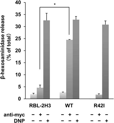 Mincle Mediated Degranulation In Rbl H Cells Rbl H Cells And Cells