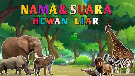 Nama Suara Hewan Hewan Liar Suara Hewan Liar Gajah Harimau Badak