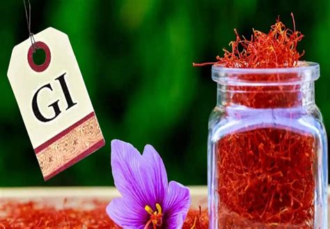 Kashmiri Saffron कशमर कशरल चदच भव