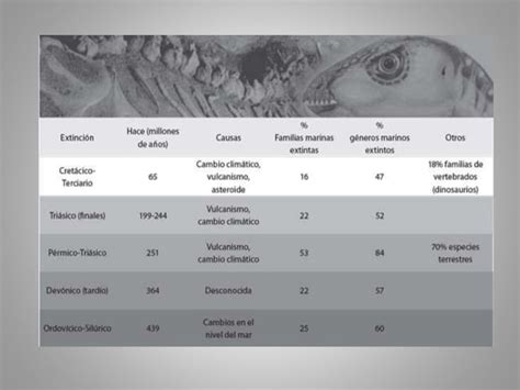 Expo De Extinciones Masivas Listas Ppt