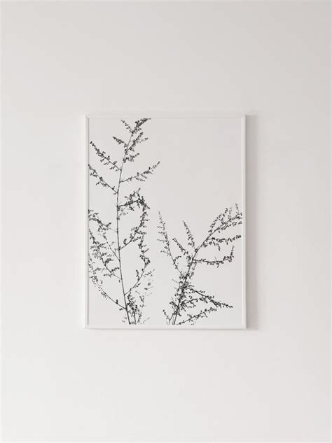 Black and White Print Botanical Print Botanical Wall Art - Etsy