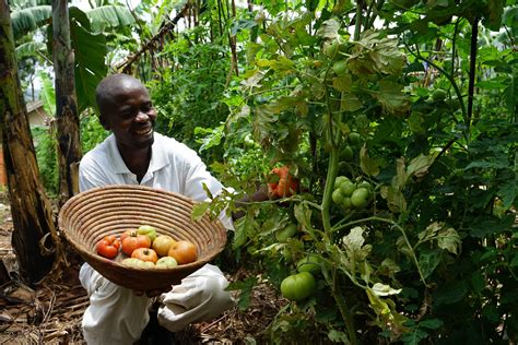 Strengthening Smallholder Farmers In Uganda Raising The Village