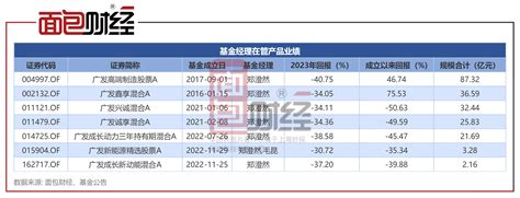 广发基金：“高端制造股票a”2023年亏损40百科ta说