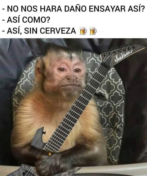 Mejores MEMES por el Día del Músico HOY en México