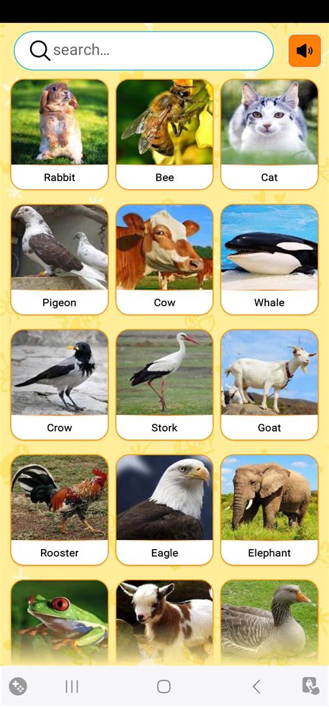 Real Animal sounds APK for Android Download