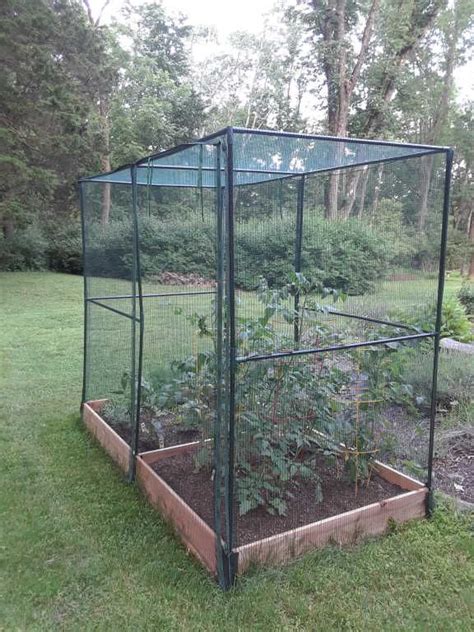 Pest Free Garden Complete Kit With Crop Cage Raised