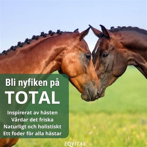 Bli nyfiken på hästfodret TOTAL Horse Feed i 2022 Hästfoder