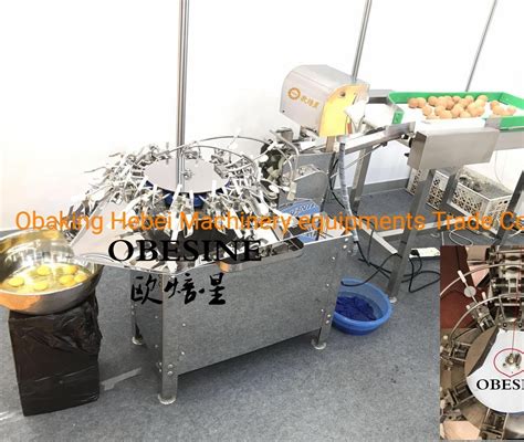 Cake Inline Bakery Equipments Planetary Mixer Cake Egg Cracker Machine