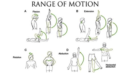 Pengertian Range Of Motion Rom Pengertian Komplit