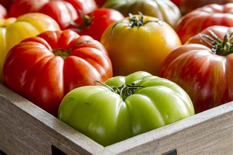 How To Plant And Grow Beefsteak Tomatoes Gardeners Path