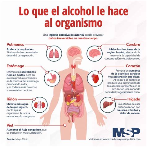 Lo que el alcohol le hace al organismo Infografía