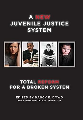 A New Juvenile Justice System Total Reform For A Broken System Families Law And Society 6