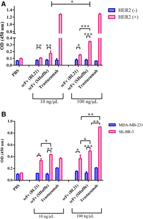 Binding Assay Of The Purified Anti HER2 ScFv Expressed From BL21 DE3