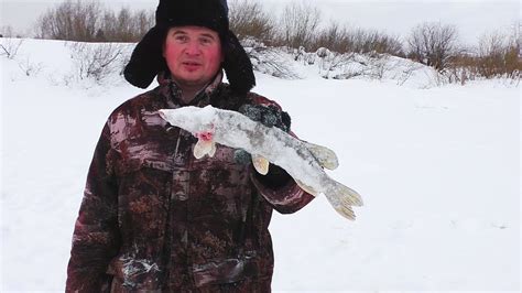 КРУТАЯ ЗИМНЯЯ РЫБАЛКА НА ТАЁЖНОМ ОЗЕРЕ \ ОКУНЬ ПЛОТВА ЩУКА \ РЫБАЛКА НА ...