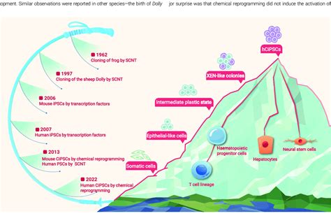 Historical View Of The Development Of Reprogramming And Schematic Of