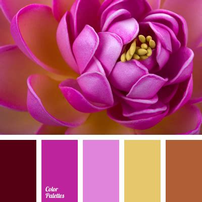 dark crimson | Color Palette Ideas