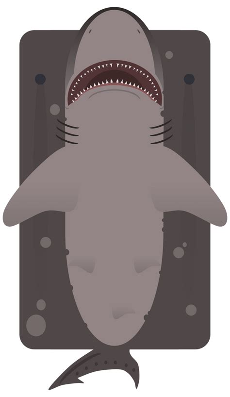 [tiger Shark] Smalltooth Sand Tiger 180c R Deeeepioskins