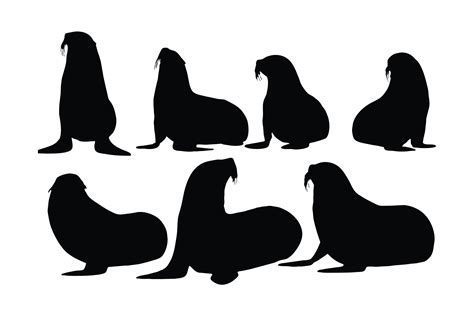 Sea Lions Sitting Silhouette Vector Graphic By Iftikharalam Creative