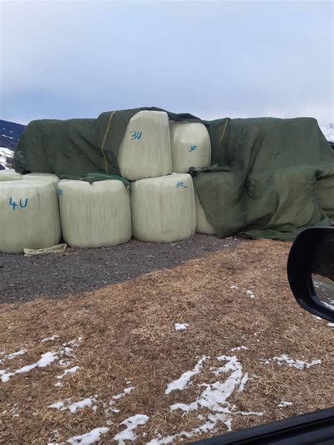 Silageballen Siloballen Kaufen Landwirt