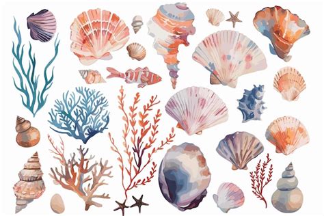 Nautical Watercolor Clipart Sea Weed Stones Shells Fish Premium Ai