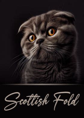 Scottish Fold Portrait Poster By Artistic Paradigms Displate