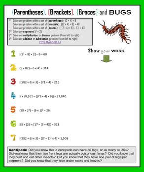 Order Of Operations Parentheses Brackets Braces And Bugs Tpt