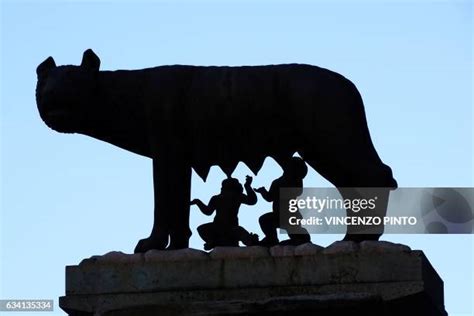 428 The Capitoline She Wolf Stock Photos, High-Res Pictures, and Images ...
