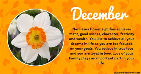 Your Birth Flower is December