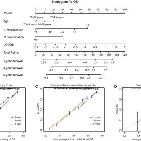 Nomogram For Os Of Bc Patients A Prediction For And Year Os