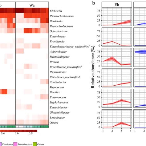 A Heat Maps Of The Relative Abundances And Distributions Of Bacterial