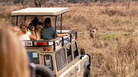 Cum S I Planifici Un Safari N Zanzibar Sfaturi I Trucuri P