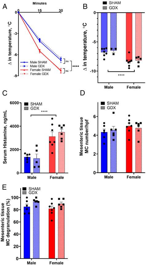 Figure 1 From Perinatal Androgens Organize Sex Differences In Mast