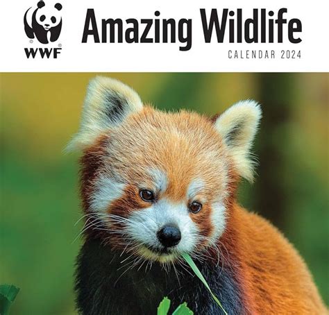 Wwf Kalender 2024 Ferne Jennine