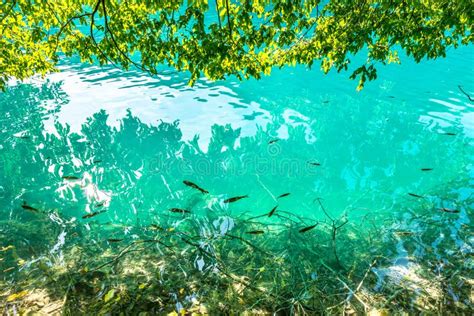 Wasserfall Der Plitvice See Kroatien Erstaunlicher Platz Stockfoto