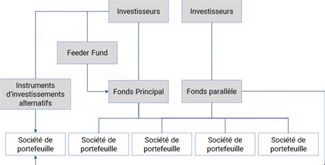 Fonds De Capital Investissement Comment Choisir La Structure Appropri E