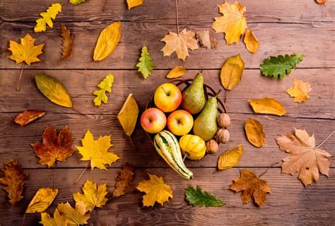 58 Fall Fruits And Vegetables To Try This Autumn Ashley Renne