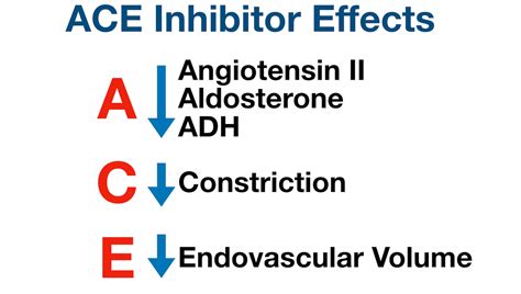 Ace Inhibitors Drug List Side Effects Mechanism Of Action Example